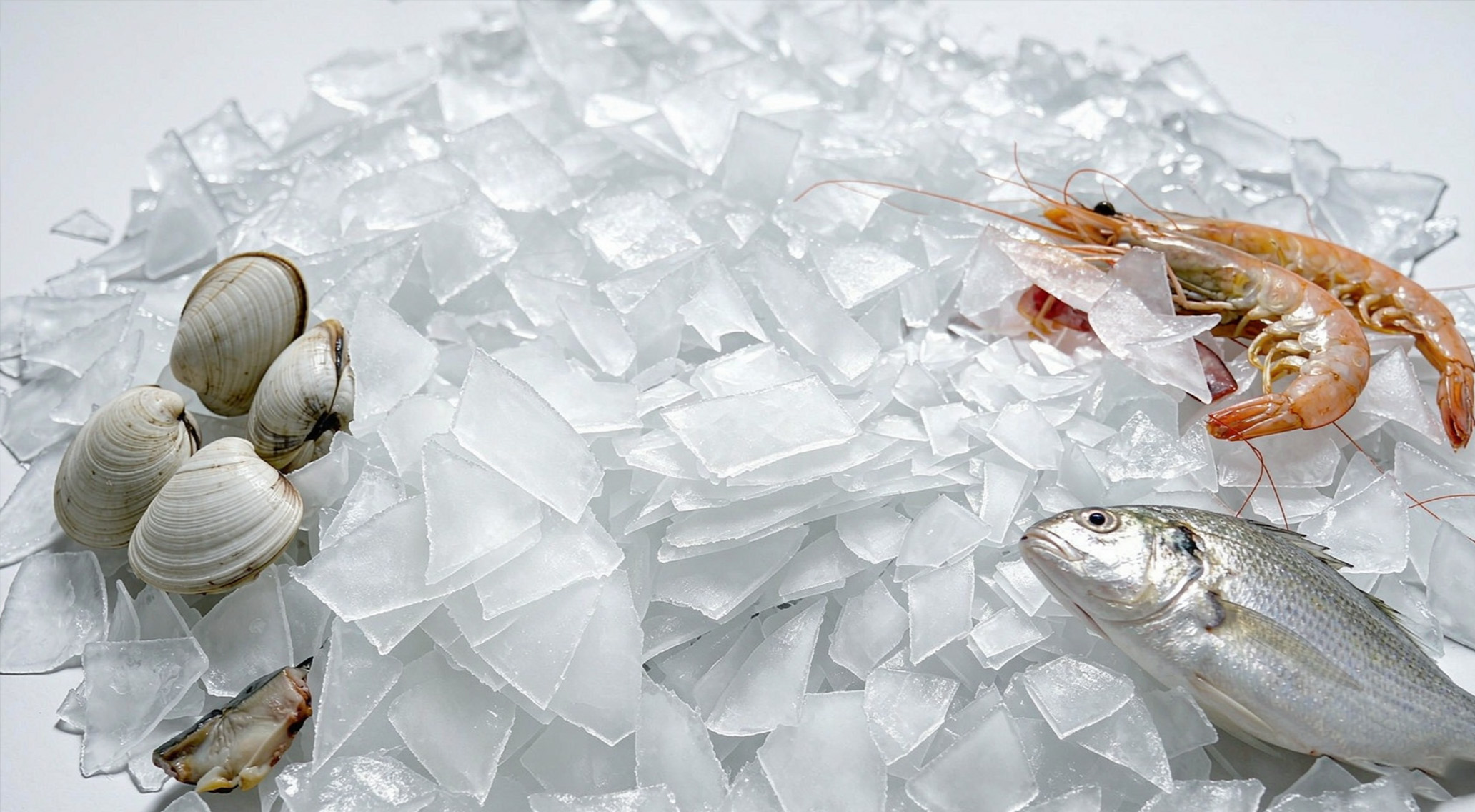 Flake Ice